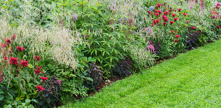 Photo d'un jardin fleuris